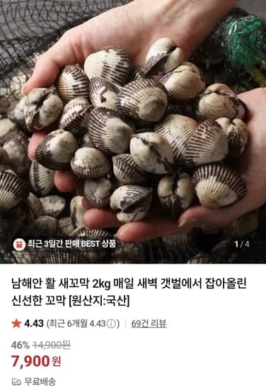 남해안 활 새꼬막 2kg (7,900원/무료)