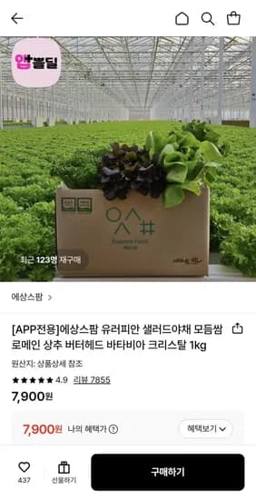 유러피안 샐러드 모듬쌈 1kg (7,900원/무료)