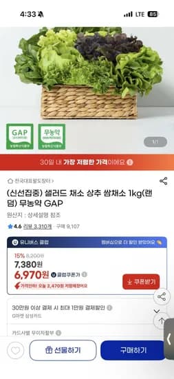 무농약 샐러드 채소 1kg
