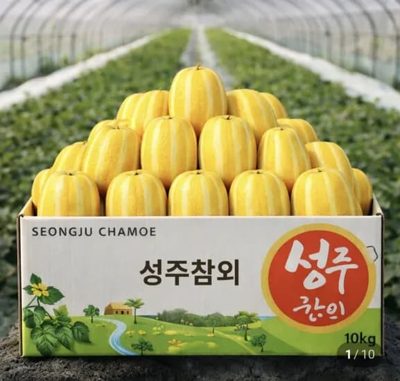 참외 가정용 랜덤과 5kg