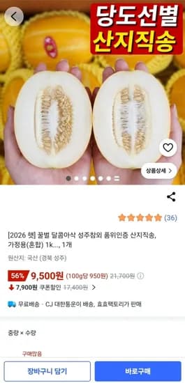 산지직송 꿀 성주참외 가정용(혼합) 1kg (9,500원/무료)