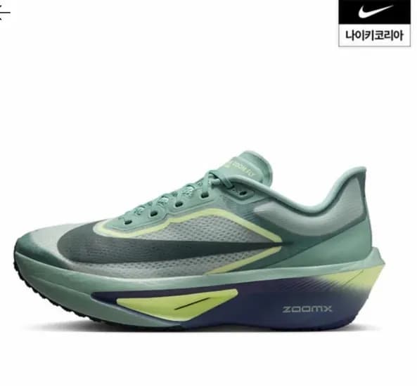 나이키 줌 플라이 6 (99,484원~/무료)