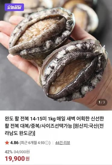 완도 활 전복 14-15미 1kg (19,900원/무료)