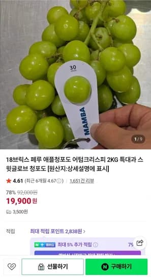 18브릭스 페루 애플청포도 어텀크리스피 2KG 특대과 (19,900원/3,500원)