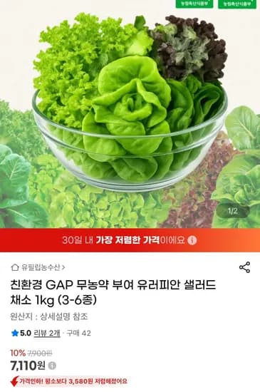 유러피안 샐러드 채소 kg (7,110원/무료)1
