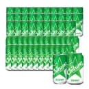 칠성사이다 210ml 30캔 350ml 24캔