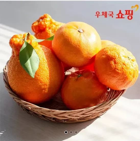 제주 고당도 천혜향 2kg (11,160원/무료)