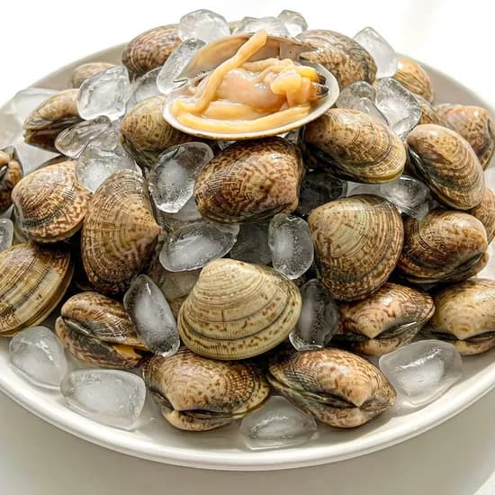 국산 남해안 활 바지락 1kg 55미 내외X2팩+칼국수 증정 (15,600원/무배)