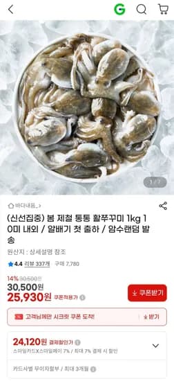 봄 제철 통통 활쭈꾸미 1kg 10미 내외 / 알배기 첫 출하 (24,120원/무료)