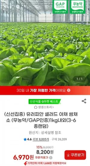 유러피안 야채 쌈채소 무농약 1kg내외(3-6종랜덤) (6,970원/무배)
