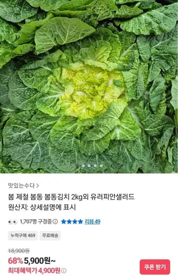 봄동 2kg (4,900원/무료)