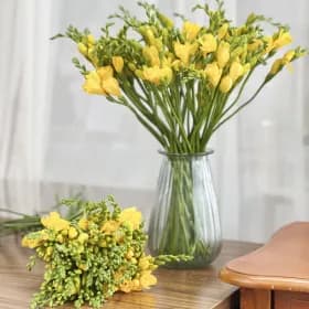 프리지아 생화 20송이 (8,930원/무료)