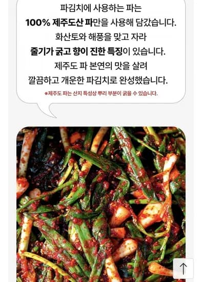 국내산 제주도 파김치 2kg (2,920원/무배)1