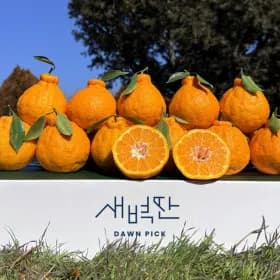 한라봉 혼합과 5kg (15,220원/무료)