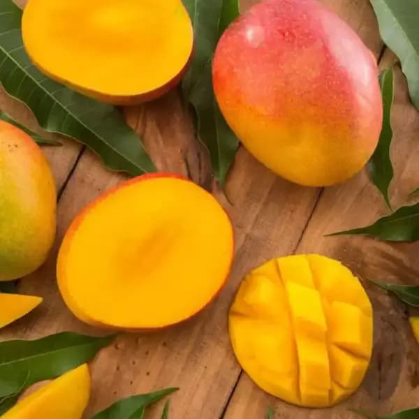 페루산 프리미엄 애플망고 2kg(4-6과) (16,790원/무료)