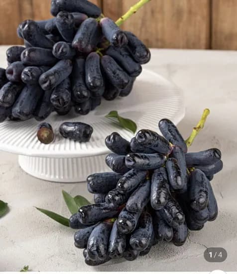 블랙사파이어 포도 500g (0,900원/무료)1