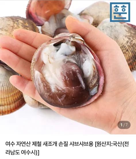 자연산 새조개 샤브용 250g (22,810원/4,000원)