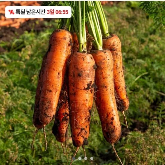 당근 상 사이즈 5kg