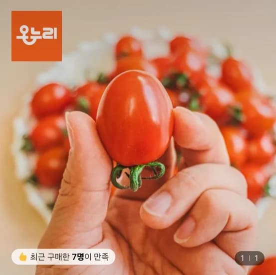 대추방울토마토 5kg 미니 4-5번과 (8,910원/무료)1