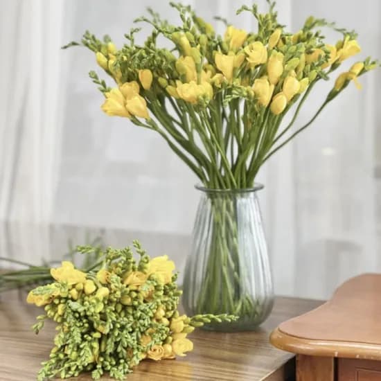 프리지아 생화 0송이 (8,930원/무료)2