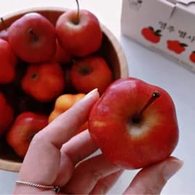 영주 별사과 소과~ 1kg (9,730원/무료)