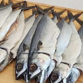 국내산 간고등어 큰사이즈 10마리 2.5~3kg (22,020원/무배)