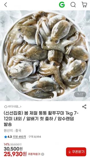 제철 활쭈꾸미 1kg 7-12미 내외 알배기 첫 출하 (25,930원/무료)
