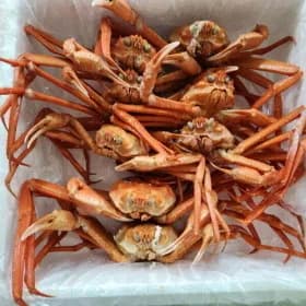 울진 후포리 박달홍게 수율 85%이상 4kg A급 (22,880원/무료)