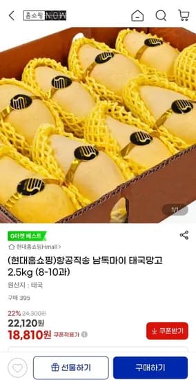 항공직송 남독마이 태국망고 2.5kg (8-0과) (18,810원/무료)1