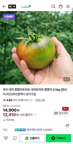 부산 대저 짭짤이토마토 2.5kg 중과 외 다양 (21,900원/무료)