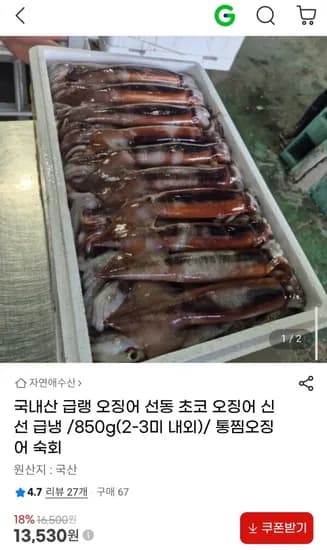 국내산 급랭 선동 초코 오징어 850g(2-3미 내외) (13,530원/무료)