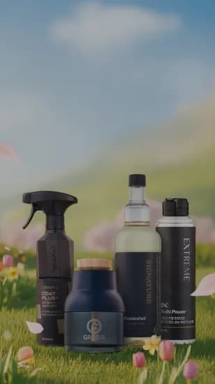 불스원 브랜드데이 라이브(가격다양/무배)