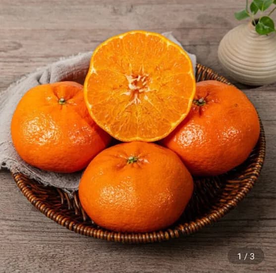 농협인증 고당도 천혜향 6kg (20,490원/무료)