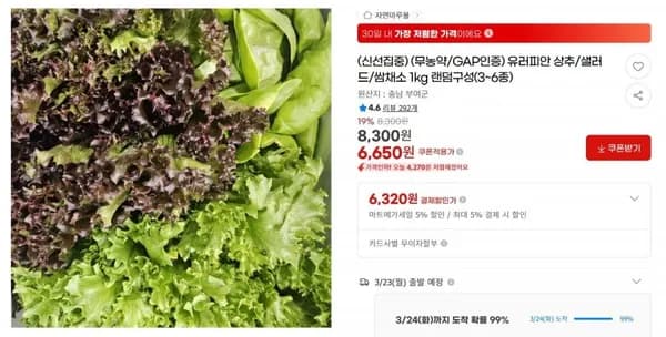 양파 중 10kg 유러피안 상추 1kg