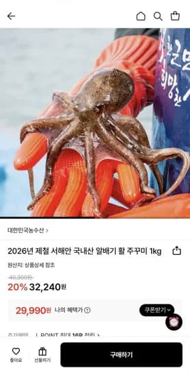 2026년 제철 국내산 활 주꾸미 1kg (29,990원/무료)