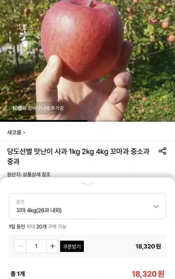 당도선별 맛난이 사과 4kg 꼬마과 (18,320원/무료)