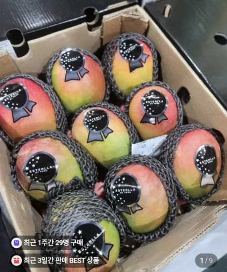 애플망고 4kg 9과 (28,900원/무료)