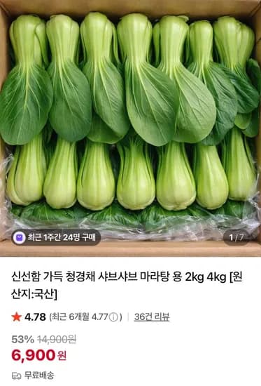 국내산 청경채 2kg (6,900원/무료)