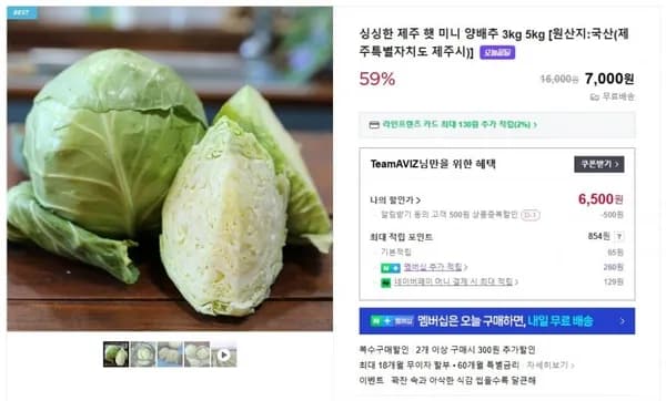 제주 햇 미니 양배추 3kg 5kg (6,500원/무료배송)