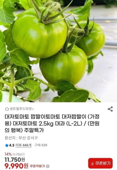 대저 짭짤이토마토 대과 2.5kg (9990원/무배)