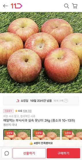 매일 먹는 못난이 사과 kg (중소과 10-13과) (9,240원/무료)2