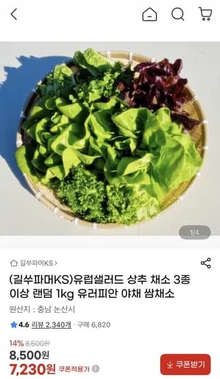 유럽 샐러드 채소 kg (7,230원/무료)1