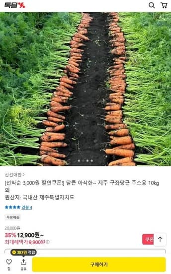 제주 구좌당근 주스용 10kg