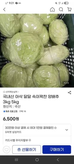 제주 양배추 kg (6,500원/무배)3