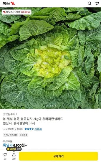 제철 채소 봄동 2kg