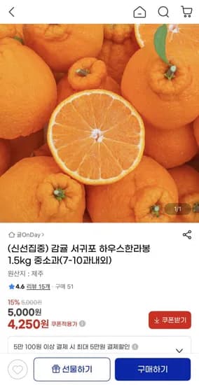 서귀포 하우스한라봉 1.5kg 중소과 (4,250원/4,900원)