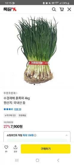 수경재배 흙쪽파 4kg (7,900/무배)
