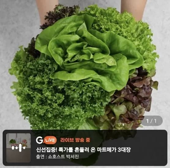 무농약 유러피언 샐러드 쌈채소 1kg (7,140원/무료)