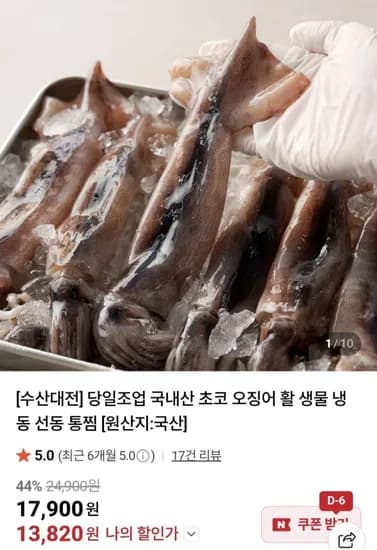 국내산 생물 초코 오징어 1kg (13,820원/유료)