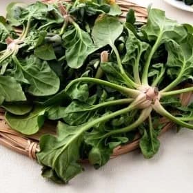 국내산 제철 시금치 2kg (유클가 5,40원/무료)9